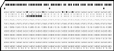 Can you say: "Hollerith Card"?